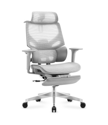 Ergonomischer Stuhl Mark...