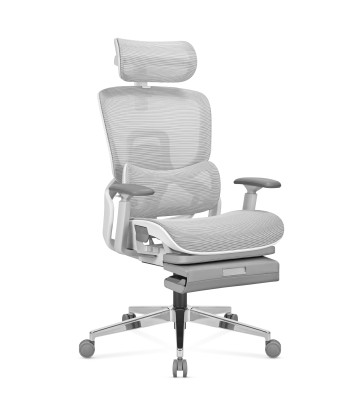 Ergonomischer Stuhl Mark...