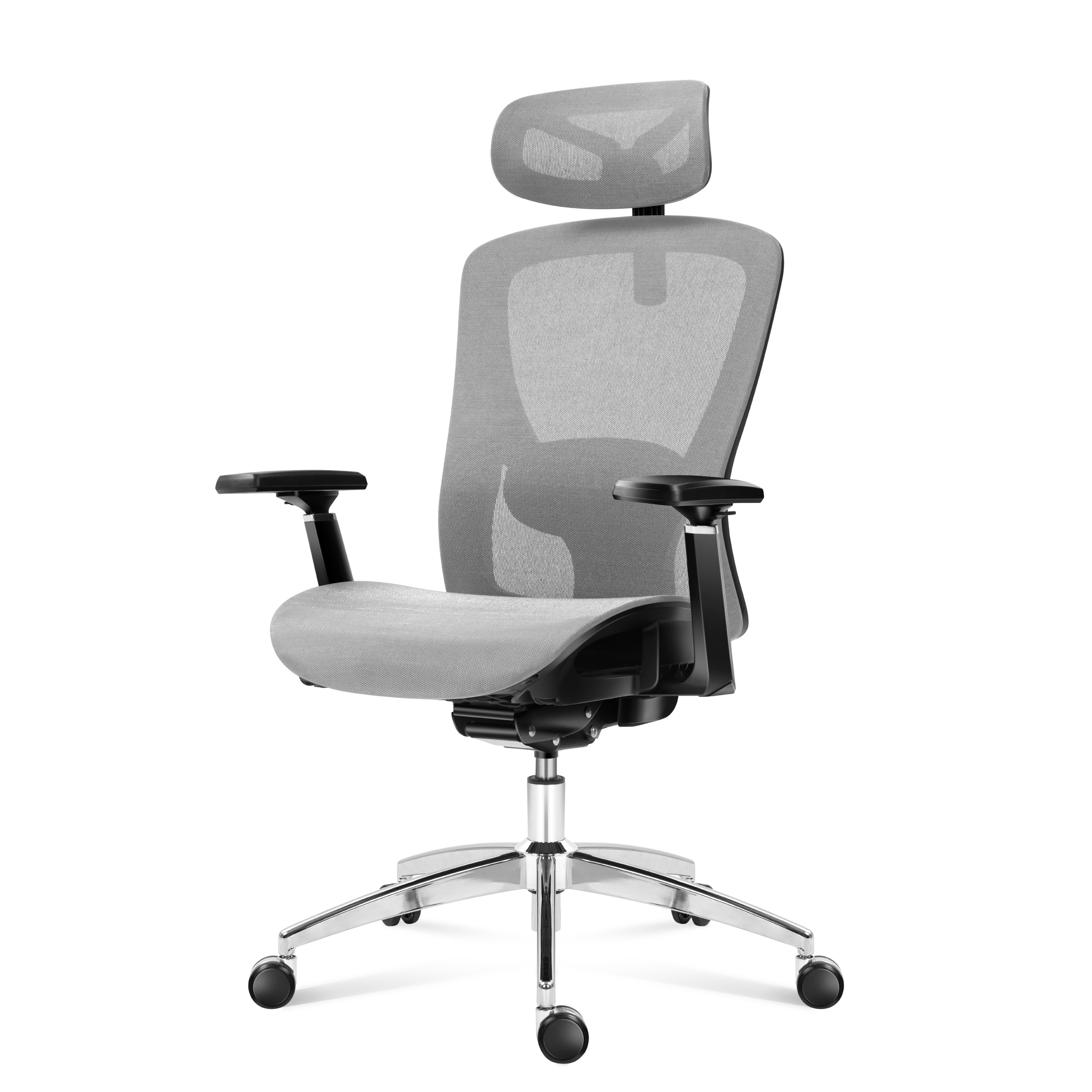 Exepert 5.3 skos