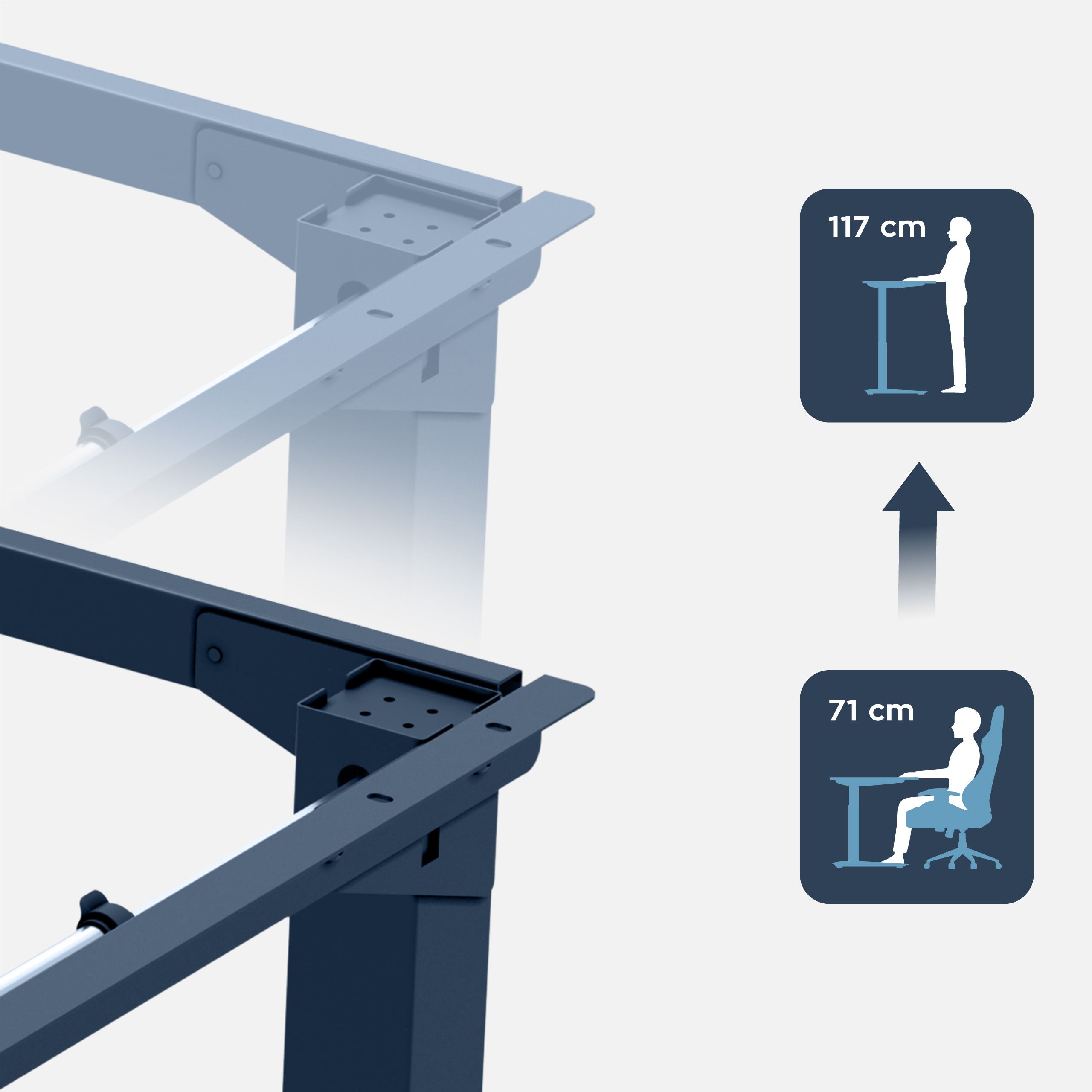 Regulowana wysokość Xeno 5.0